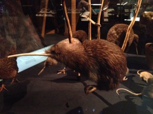 Wellington - Picton-041